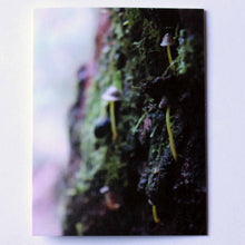 Load image into Gallery viewer, Greeting Card