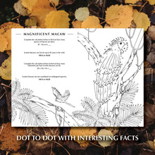 Load image into Gallery viewer, Your Wild Activity Book