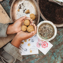 Load image into Gallery viewer, Your Wild Celebration Book