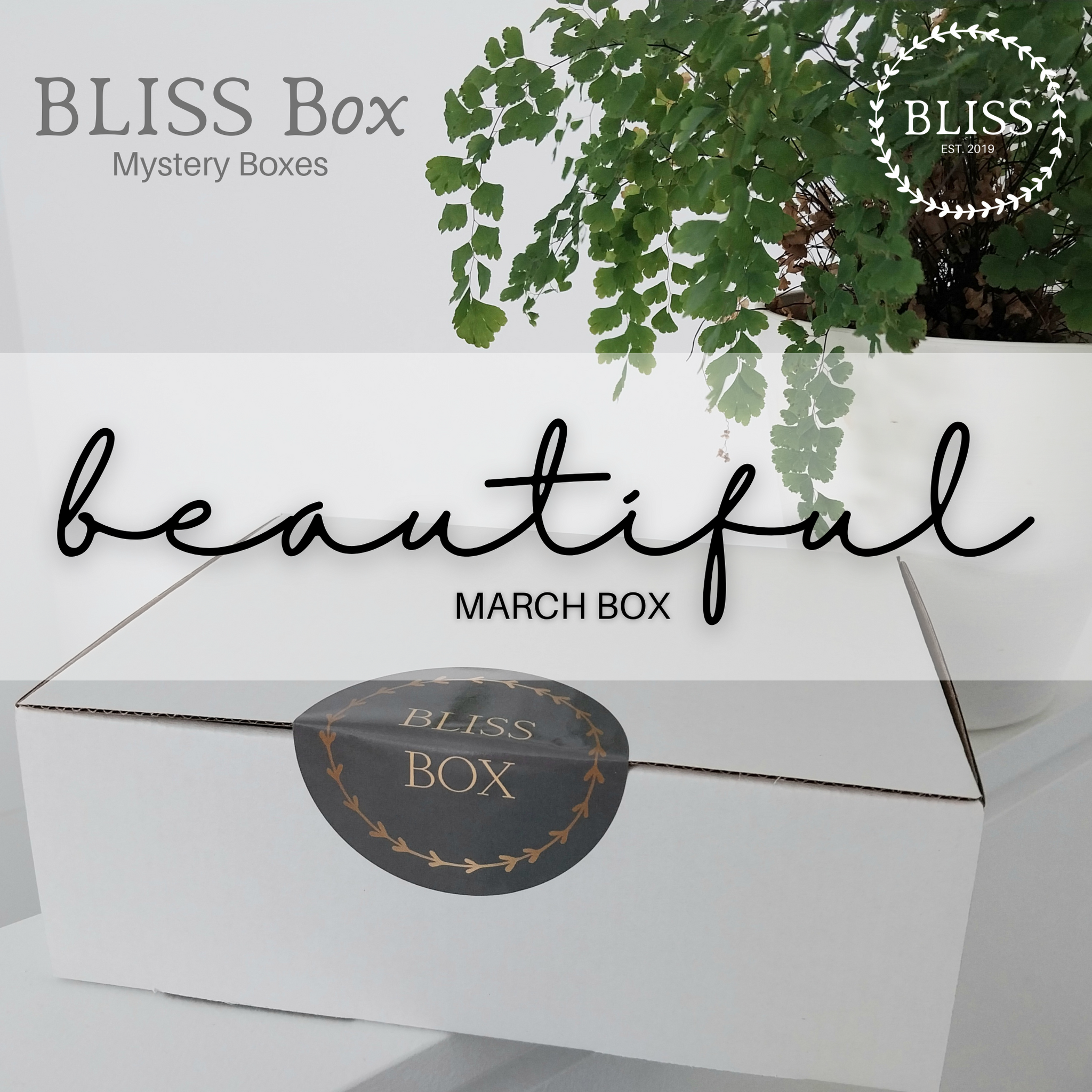 BLISS Box - Mystery Box - Single or Subscription – BLISS by