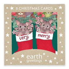Load image into Gallery viewer, Pack of Christmas cards with two possums in red stockings and festive text, branded &#39;earth greetings&#39;.
