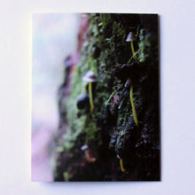 Load image into Gallery viewer, You&#39;ve Got This, New Beginnings Card - Forest Mushrooms
