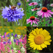 Load image into Gallery viewer, Grow Flowers for Pollinators
